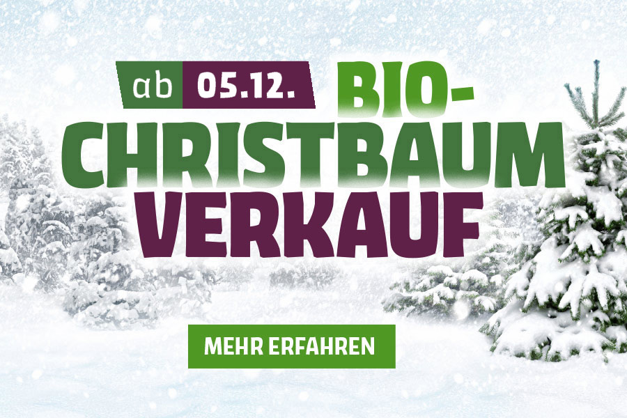 Dekoratives Bild Dekoratives Bild