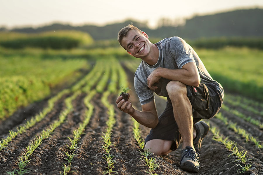 Dekoratives Bild Dekoratives Bild