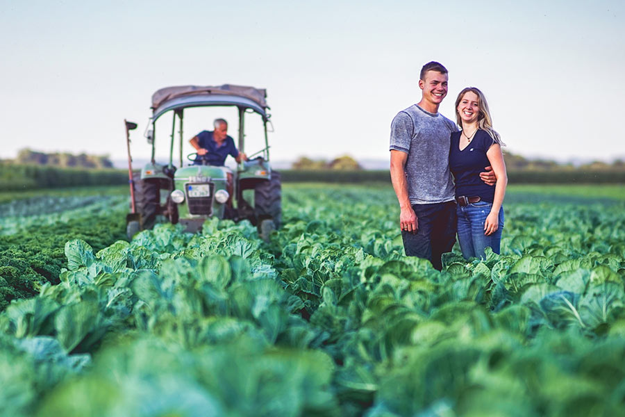 Dekoratives Bild Dekoratives Bild