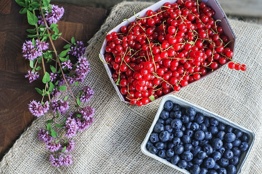 Dekoratives Bild Dekoratives Bild